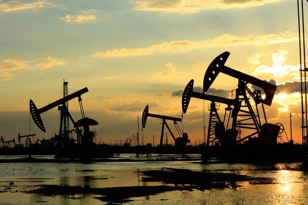 Нефтепромысловом Участке Вечером Работают Нефтяные Насосы — стоковое фото
