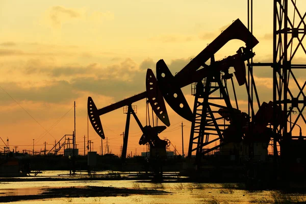 Oil field site, in the evening, oil pumps are running