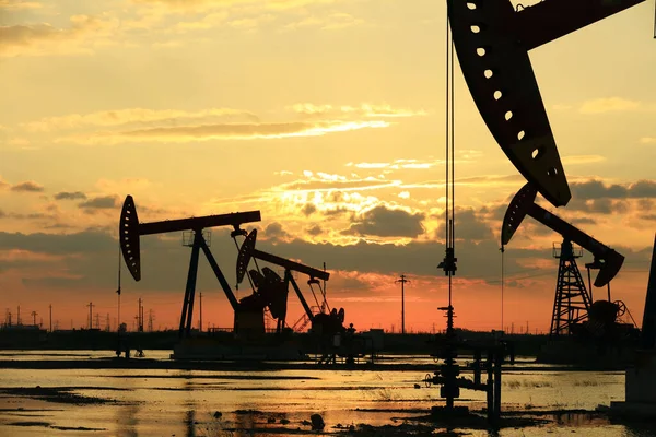 Oil field site, in the evening, oil pumps are running