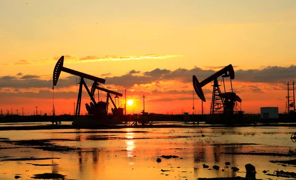 Oil field site, in the evening, oil pumps are running