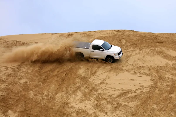 Een Suv Reed Woestijn — Stockfoto