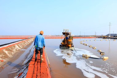 İşçiler tuz tarlasında çalışıyor., 