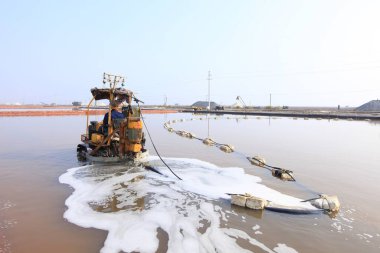İşçiler tuz tarlasında çalışıyor., 
