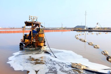İşçiler tuz tarlasında çalışıyor., 