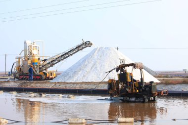 İşçiler tuz tarlasında çalışıyor., 