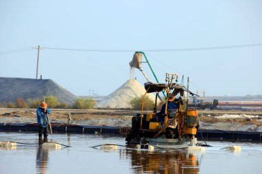 İşçiler tuz tarlasında çalışıyor., 