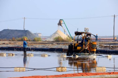 İşçiler tuz tarlasında çalışıyor., 
