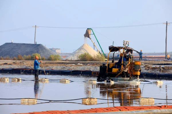 İşçiler tuz tarlasında çalışıyor., 