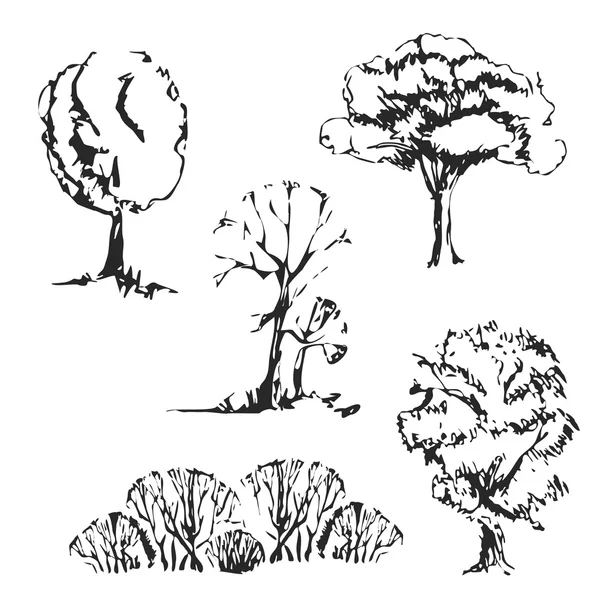 Set di alberi disegnati a mano . — Vettoriale Stock