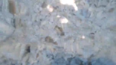 Su yüzeyinde dalga etkisi ve beyaz çakıl taşlarında küçük balıklar.