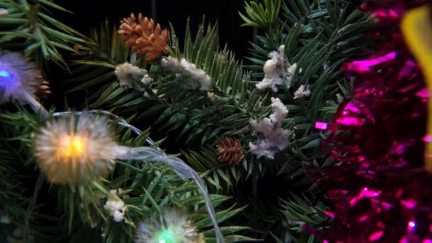 Bonito Pez Estampado Jugando Alrededor Las Decoraciones Del Árbol Navidad — Vídeo de stock