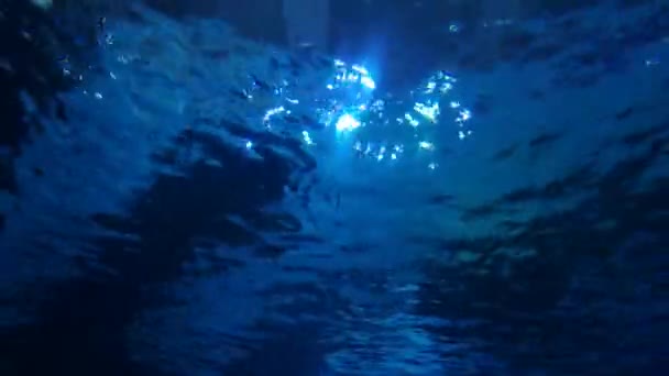 Dunkle Und Blaue Wellen Von Wasser Und Kleinen Fischen — Stockvideo