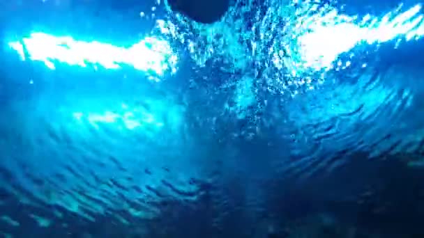 Haie Schwimmen Den Wellen Des Blauen Wassers — Stockvideo