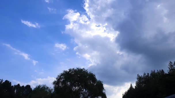 Beautiful Blue Sky Moving Clouds Dragonfly — Stock Video