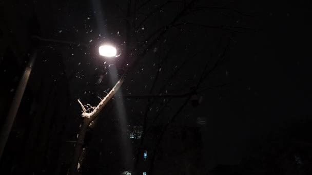 Ήσυχο Περιβάλλον Του Δρόμου Φώτα Στο Χιόνι — Αρχείο Βίντεο