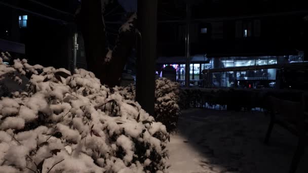 Aparición Una Noche Oscura Nieve — Vídeos de Stock