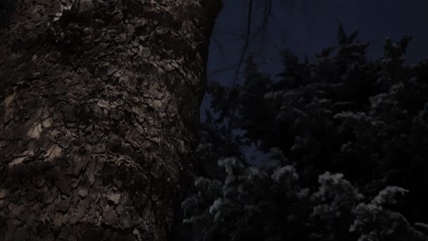 Čisté Dřevěné Pilíře Slabě Padající Sníh Temném Večeru — Stock video