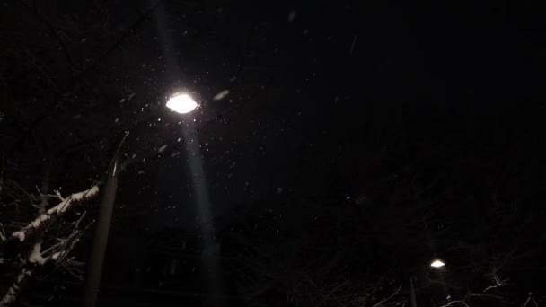 Luces Calle Brillantes Nieve Oscura Noche — Vídeos de Stock