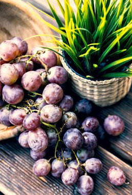 purple grapes with leaves in the wooden dish