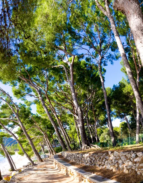 Cala Pi, Cap Formentor, Mallorca, España —  Fotos de Stock