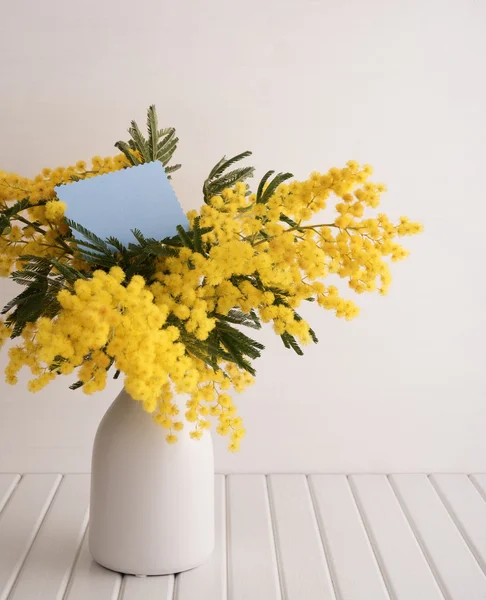 Vase with mimosa flowers — Stock Photo, Image