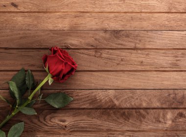 masada kırmızı gül