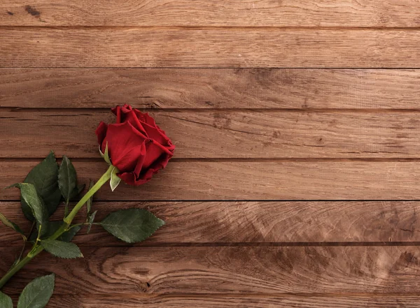 Red rose on table — Stock Photo, Image