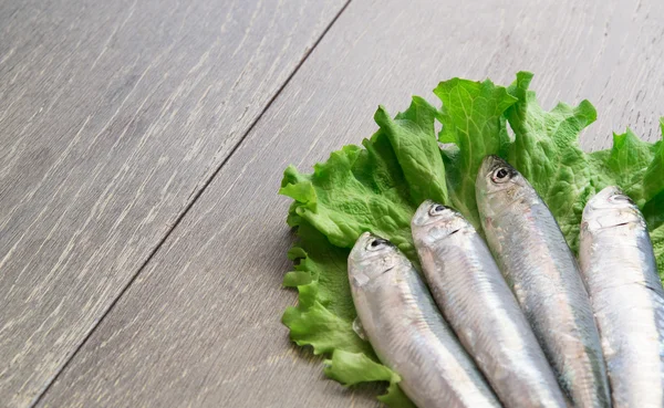 Sardinha fresca em alface — Fotografia de Stock