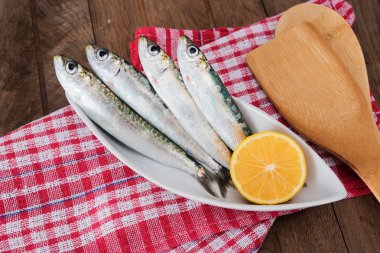 Sardalye beyaz plaka üzerinde