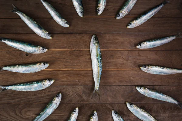 Círculo de sardinhas — Fotografia de Stock