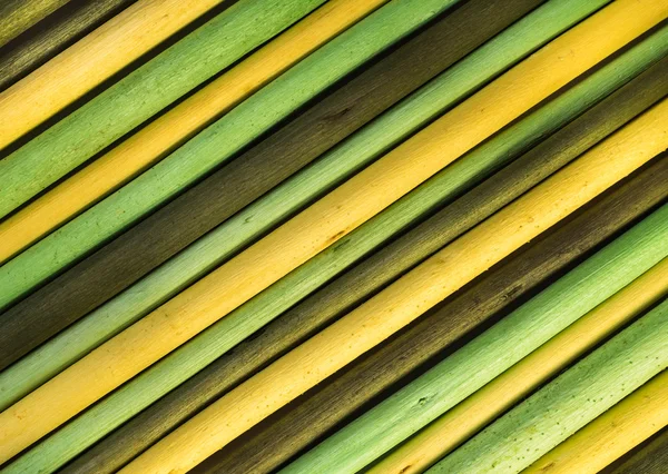 Background from painted yellow and green twigs — Stock Photo, Image