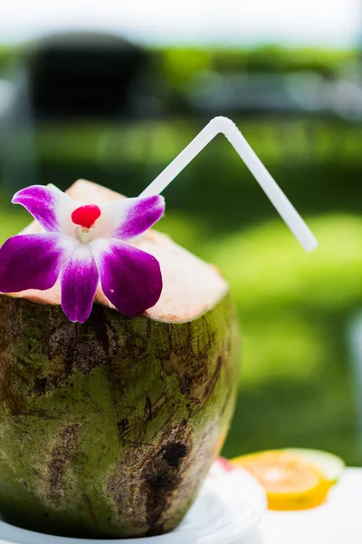 Coconut with straw and flower — Stock Photo, Image