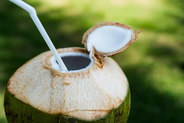 saman ile Hindistan cevizi