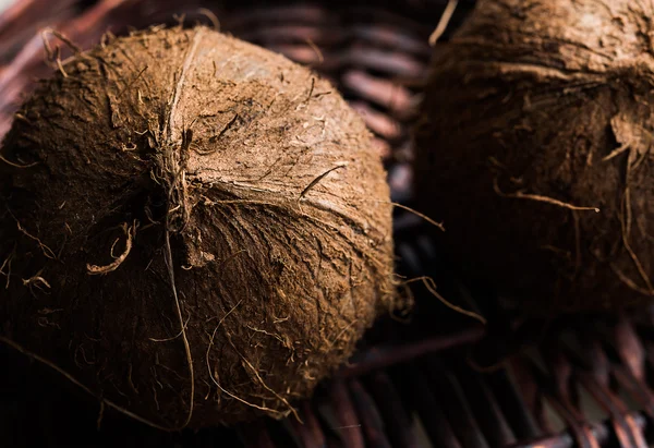 Two coconuts — Stock Photo, Image