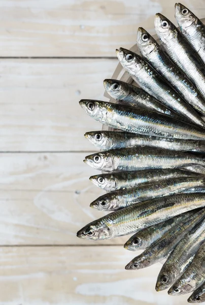 Cinco sardinas — Foto de Stock