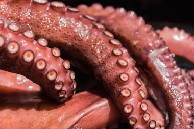 haşlanmış ahtapot