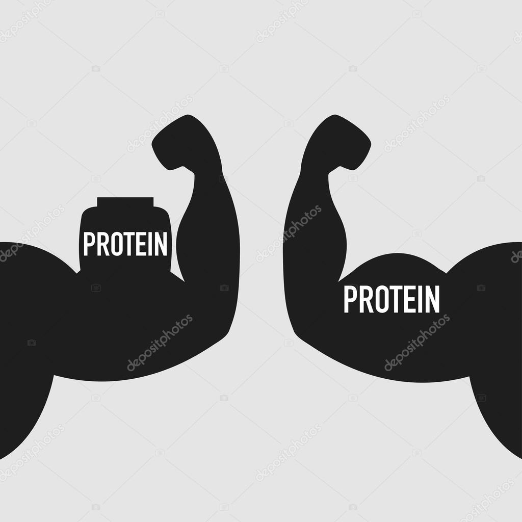 One mans arm with big muscles and text PROTEIN on biceps and other with biceps in shape of jar with protein and text PROTEIN