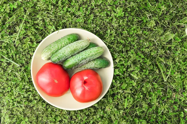 Tomates frescos e pepinos no prato, fundo com grama — Fotografia de Stock