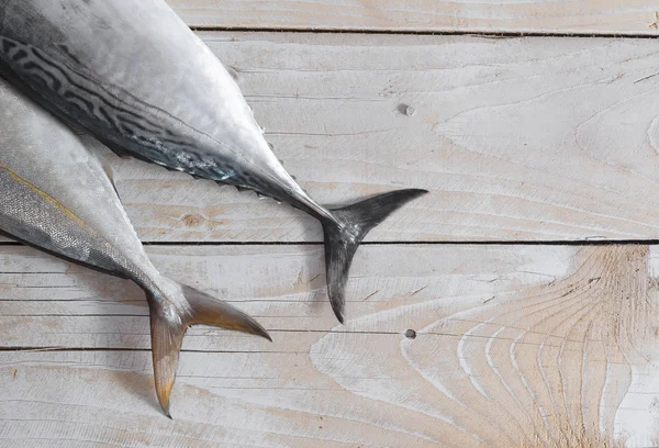 생선, 가다랑어 및 방어 — 스톡 사진