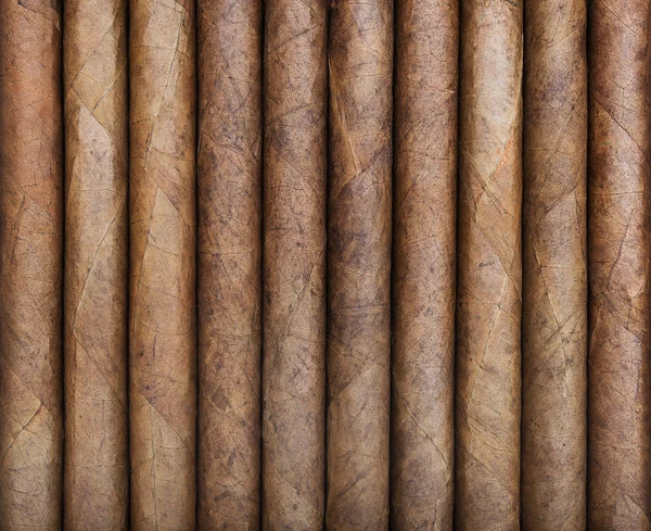 Background from cigars — Stock Photo, Image