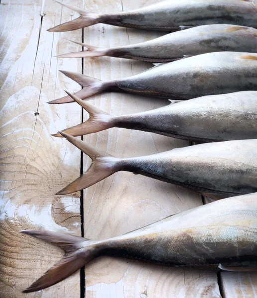 Peixe cru, de cauda amarela, seguido — Fotografia de Stock