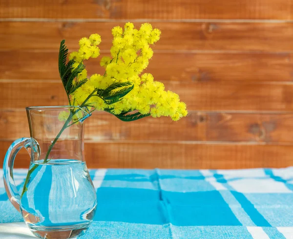 Branch of mimosa on table — Stock Photo, Image