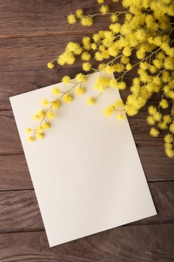 Ahşap masa üzerinde taze Mimoza çiçeği