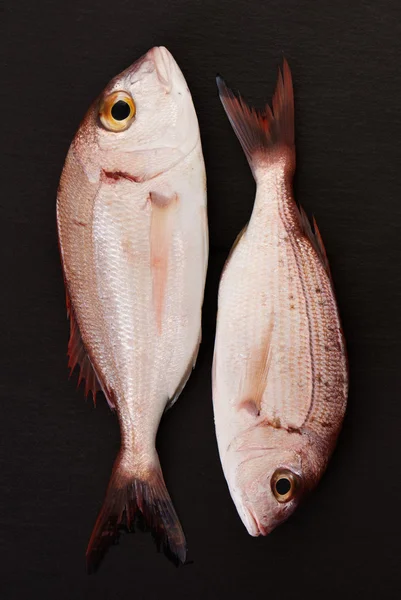 다른 재료와 생선 — 스톡 사진