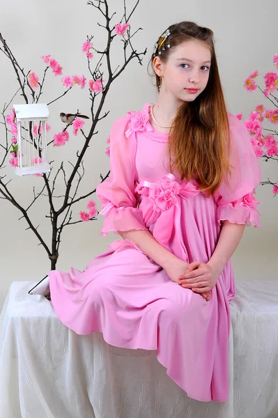 Chica en un vestido rosa Imagen De Stock