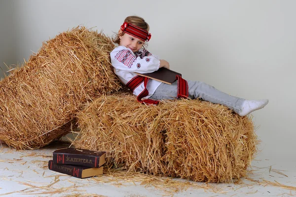 Ukrainian girl in national dress with a business book