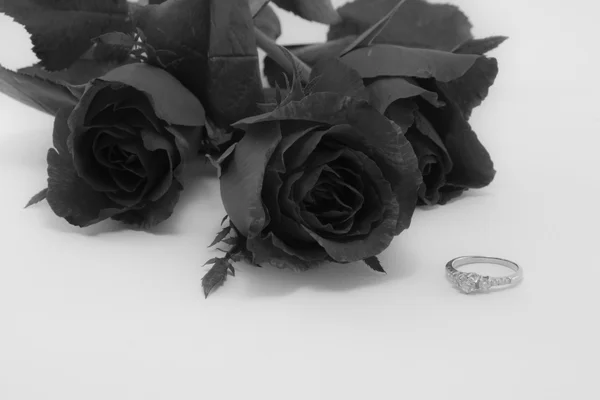 Rote Rosen mit einem schönen Ring arrangiert. in den Farben schwarz und weiß. — Stockfoto