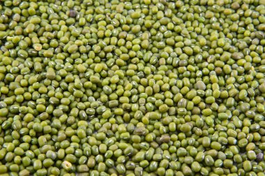  Beyaz arka plan üzerinde Vigna ışınsal simetrili canlılar. İzole