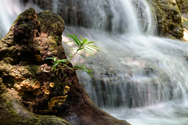 Erawan Waterfall, Kanchanaburi, Thailand — Stock Photo, Image