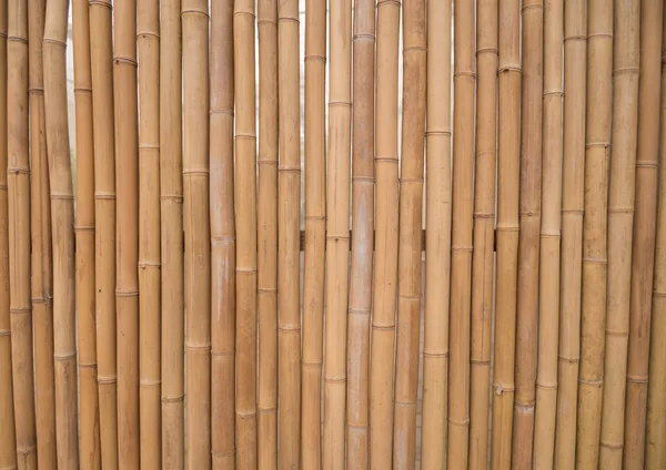 Bambuszäune, Verwendung von Bambusfliesen für eine Platte. — Stockfoto